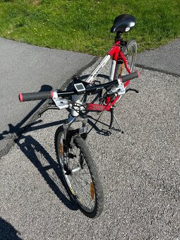 Bicykel Author Basic SX - 8