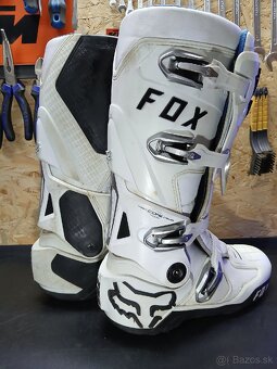Fox instinct - 8