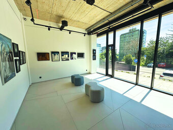 Prenájom prestížneho showroom priestoru 251m² (prízemie) na - 8