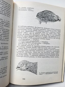 ichal Špeník - Choroby poľovnej zveri - 8