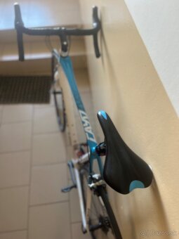 FOCUS Cayo XL - 8