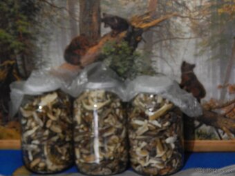 Predám sušené dubáky. - 8