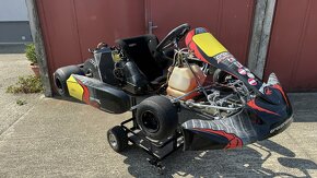 Motokara Mad Croc s motorom Rotax (junior) - 8