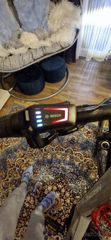 Ebike - 8