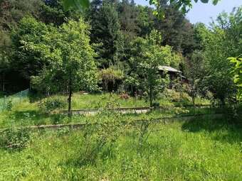 Predaj záhrady s chatkou v pôvodnom stave v OV,390m2-Budatín - 8