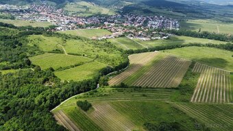 PREDAJ OBRÁBANÝCH VINÍC - GRINAVA, PEZINOK - 8
