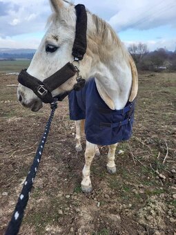 Jazdecké potreby pre koná a jazdca - 8