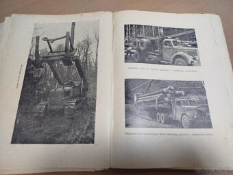 Lesné hospodárstvo v USA--1948--František Papánek--Report o - 8
