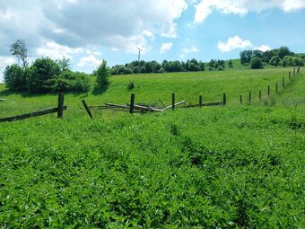 Predám pozemky v katastri Vojňany - 8