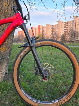 CTM Scroll Expert 2019 - 8