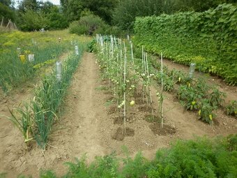 Nižne Raslavice časť Mlyn - 8