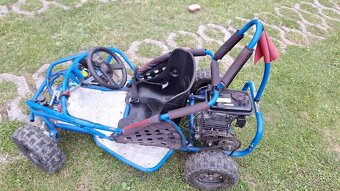 Buggy - 8
