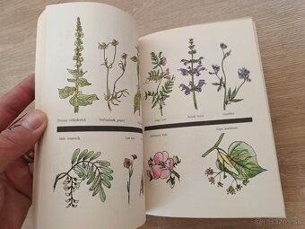 Učíme sa včelariť 1980 - 8