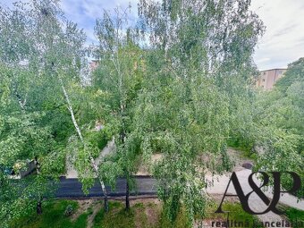 NA PREDAJ 2 IZBOVÝ BYT S LOGGIOU, 48 M2, ul. MIRKA NEŠPORA, - 8