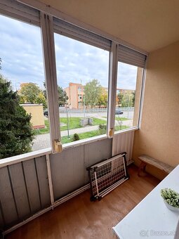 Prenajom 1 izbovy byt Senec Centrum - 8