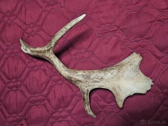 parohy parožie na výrobky rukoväť noža - 8