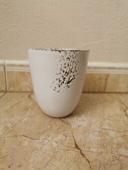 Izbové rastliny - 8