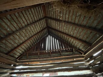 Stare drevo na predaj - 8