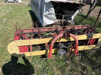 Hrabčka pasová - 8