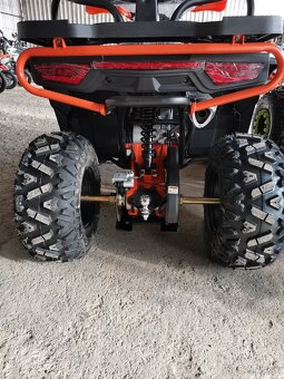 Diabolini 300RR - 8