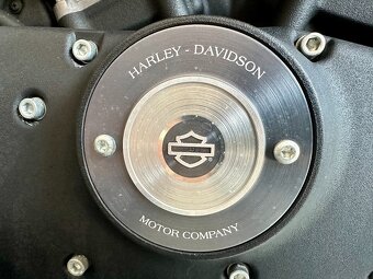 Harley-Davidson Iron 883 - 8