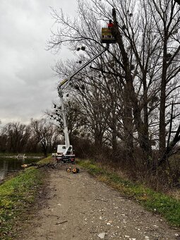 Orezávanie stromov, rizikový výrub stromov, pilčícke práce - 8