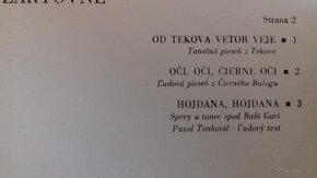 Predám gramoplatne. - 8