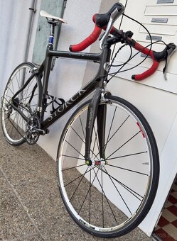 Storck Scenario C. 1.1 karbón - 8