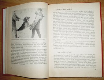 Poznej svého psa - 8