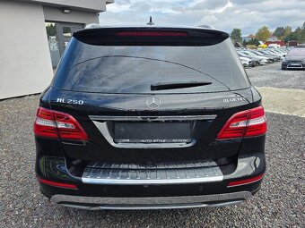Mercedes-Benz ML 250 BlueTEC 4MATIC A/T - 8