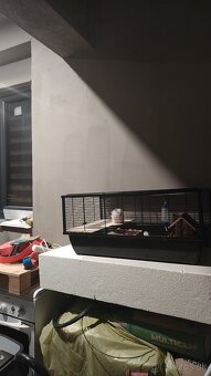 Klietka pre škrečka a syrský škrečok - 8