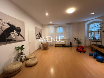AVENUE | Staromestský štýlový 5i byt v Starom Meste - Kozia - 8