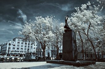 Olympus E-M1 - po IR konverzii 720 nm - 8