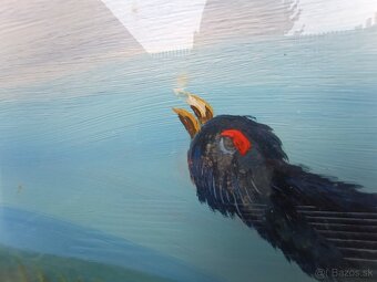 obraz olejomaľba Tetrov Hlucháň - 8