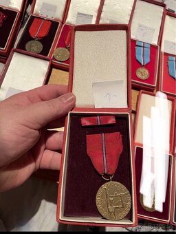 Vojenske odznaky 18 (Medajle - SNP) - 8