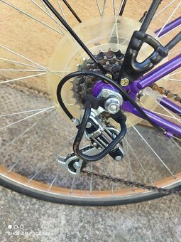 Bicykel vikink - 8