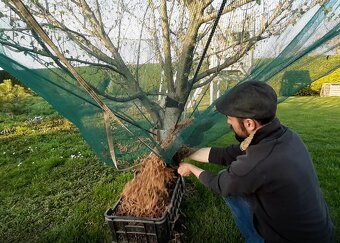 Lapač ovocia, zachytávač plodov, sieť na ovocie - 8