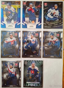 Hokejové Slovensko - 8