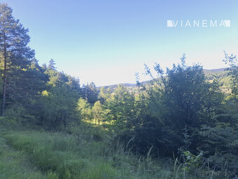 IBA U NÁS Pozemok 1,8 ha na okraji Púchova, Vieska-Bezdedov - 8