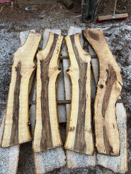 Orechové dosky rezivo drevo orech - 8