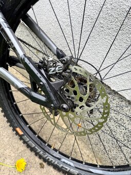 Kellys noid 70 - 8