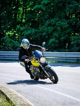 Predam Honda CB600F Hornet - 8