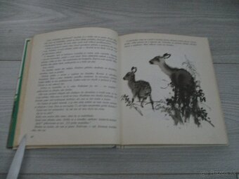 Z poľovníckej kapsy - 8