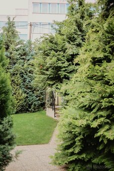 Predaj domu v centre Košíc - 8