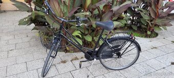 Dámsky bicykel - 8