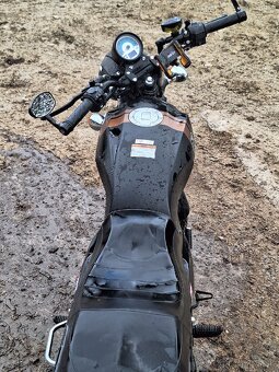 Barton cafe racer 50 L1e - 8