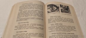 Škoda 100 110 110R manuál údržba opravy veterán - Š110R - 8