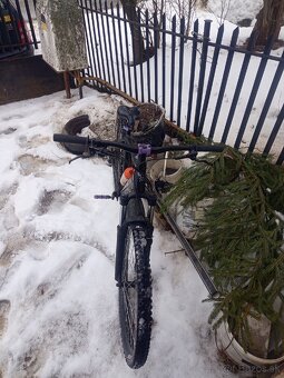 Vedora Camouflage 2019 - 8