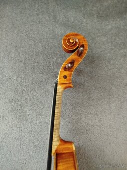 Viola - 8
