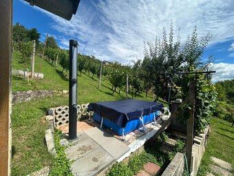 Predaj chatky s veľkou záhradou, vinica, Bzince pod Javorino - 8